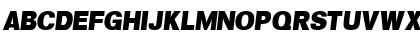 SalinaDisplaySSK Italic Font SalinaDisplaySSK Italic Font