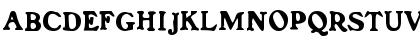 SansedroSSK Bold Font SansedroSSK Bold Font