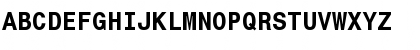 SAS Monospace Bold Regular Font