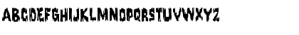 Corpus Regular Font