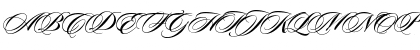 Sloop Script Two BETA Bold Font