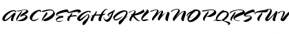 SpringLP RomanItalic Font SpringLP RomanItalic Font