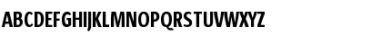 Sun Sans Condensed- SunSansCondensed Demi Font