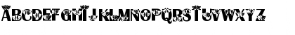 NewFont Regular Font NewFont Regular Font