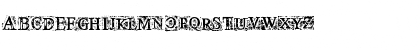 Times New Omen Regular Font