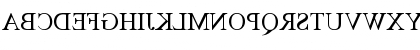 Times New Rewind Regular Font Times New Rewind Regular Font
