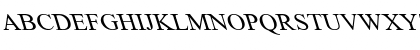 Times New Roman Backslanted Regular Font Times New Roman Backslanted Regular Font