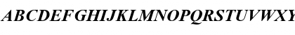 Times2 New Roman Bold Italic Turkce Font