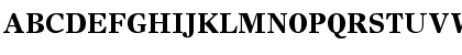 TimesEuropa Bold Font TimesEuropa Bold Font