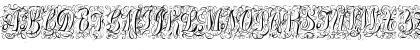 Treasury Flourish Silver Regular Font