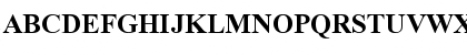 Turkish Times New Roman Bold Font Turkish Times New Roman Bold Font