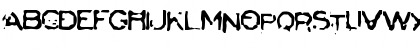 New Regular Font