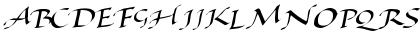 BaggageMasterText79 Regular Font