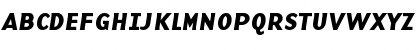 BaseNineBI Roman Font