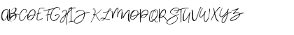 Densfort Regular Font