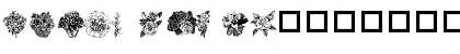 Destinys Flowers Regular Font Destinys Flowers Regular Font