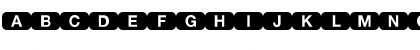 DeutscheBahnAG Regular Font DeutscheBahnAG Regular Font