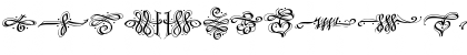DF Calligraphic Ornaments Medium Font