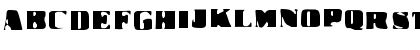 New Regular Font New Regular Font