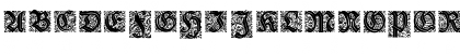 Druckschrift-Initialen Regular Font