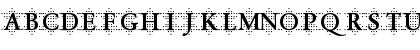 DTCGaramondM47 Regular Font DTCGaramondM47 Regular Font
