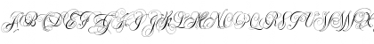 Ellida Regular Font Ellida Regular Font