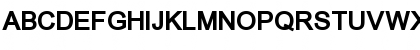 ER Univers 1251 Bold Font ER Univers 1251 Bold Font