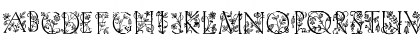 Eve Initials Regular Font Eve Initials Regular Font