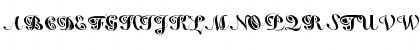 False Regular Font False Regular Font