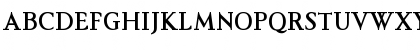 Felina SerifSmall Print Regular Font Felina SerifSmall Print Regular Font