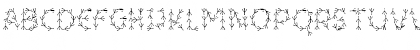 ForTheBirds Regular Font ForTheBirds Regular Font