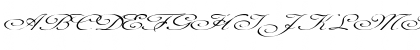 FZ SCRIPT 1 EX Normal Font