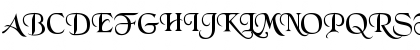 FZ SCRIPT 7 Normal Font