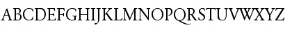 Garamon Regular Font