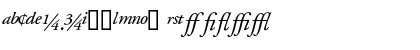 GaramondProSSK Italic Font GaramondProSSK Italic Font