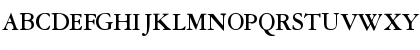 GaramondRepriseSSK Bold Font GaramondRepriseSSK Bold Font