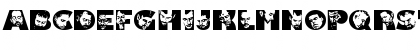 Hymn Regular Font Hymn Regular Font