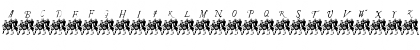 Iconus Americanus Regular Font