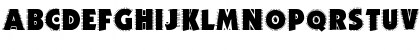 JICAMA Regular Font