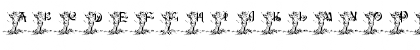 JNKFAIRY5 Regular Font JNKFAIRY5 Regular Font