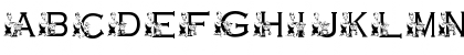 KG GROCERY Regular Font KG GROCERY Regular Font