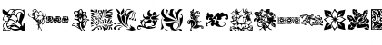 KR Fleurish Floral Regular Font KR Fleurish Floral Regular Font