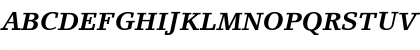 LinoLetter LT Roman Bold Italic Font