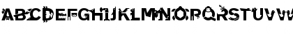 LTAnimalia Medium Font