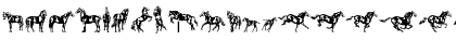 LTDressage Medium Font