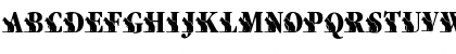 New Regular Font New Regular Font