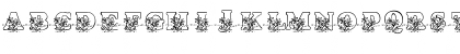 New Regular Font