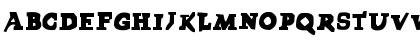New Regular Font