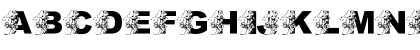 LMS Post-Thanksgiving Shopping Regular Font LMS Post-Thanksgiving Shopping Regular Font