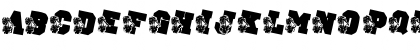 LMS School Spirit Regular Font LMS School Spirit Regular Font